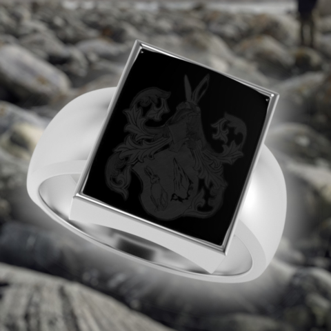 moderner Siegelring mit eckigem Onyx gefasst in Platin